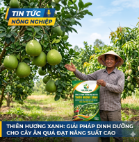 Bí Quyết Tăng Năng Suất Cây Ăn Quả Cùng Giải Pháp Nông Nghiệp Thiên Hương Xanh