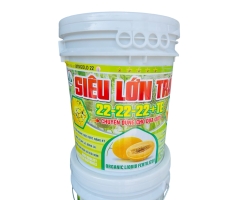 Lớn trái 22-22-22-TE