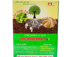TRICHODERMA 1KG