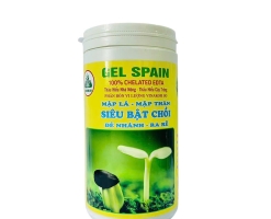 GEL SPAIN 44-11-11
