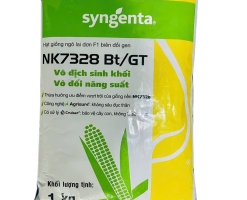 BẮP BIẾN ĐỔI GEN NK 7328