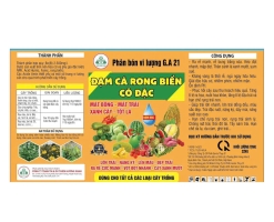 ĐẠM CÁ RONG BIỂN CÔ ĐẶC (Tạm hết)