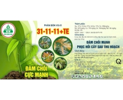PHÂN BÓN 31-11-11 +TE