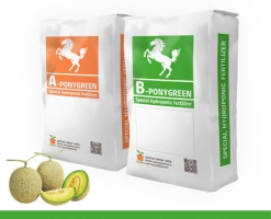 A-B PONYGREEN MELON