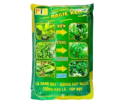 MAGIE KẼM BIẾN VÀNG THÀNH XANH
