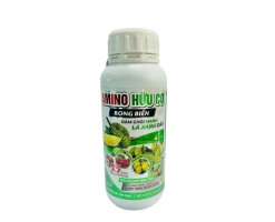 AMINO HỮU CƠ RONG BIỂN