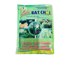 SIÊU BẬT CHỒI 31-11-11