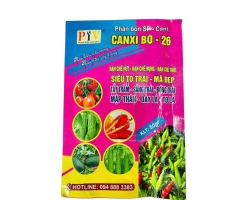 CANXI BO - 26