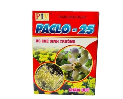 PACLO-25