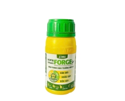 ORGANO FORGE HỢP TRÍ