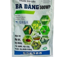 BA ĐĂNG 500WP