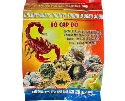 RẢI GỐC BÒ CẠP ĐỎ (Tạm hết)