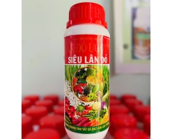 SIÊU LÂN ĐỎ ( VIỆT ÚC)