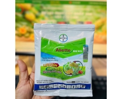 ALIETTE 800WG