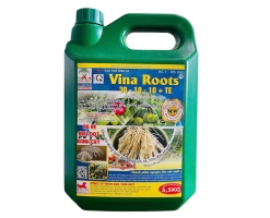VINA ROOTS 30.10.10+TE