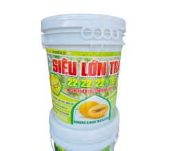 Lớn trái 22-22-22-TE