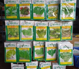 HẠT GIỐNG RAU CỦ