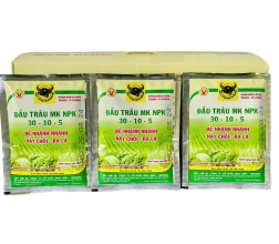 NPK 30-10-5 BÌNH ĐIỀN