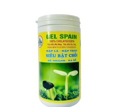 GEL SPAIN 44-11-11