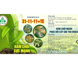 PHÂN BÓN 31-11-11 +TE