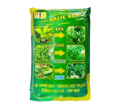 MAGIE KẼM BIẾN VÀNG THÀNH XANH