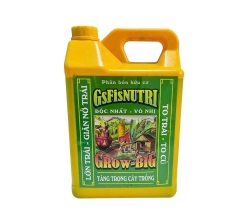 GROW BIG 4.5L
