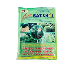 SIÊU BẬT CHỒI 31-11-11