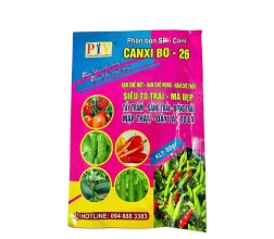 CANXI BO - 26