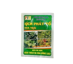 KÍCH PHÁT TỐ 100GR