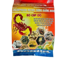 RẢI GỐC BÒ CẠP ĐỎ (Tạm hết)