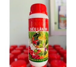 SIÊU LÂN ĐỎ ( VIỆT ÚC)