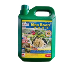 VINA ROOTS 30.10.10+TE